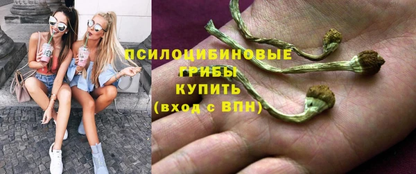 мескалин Богородицк