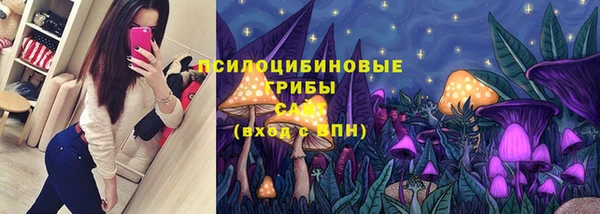 шишки Слюдянка