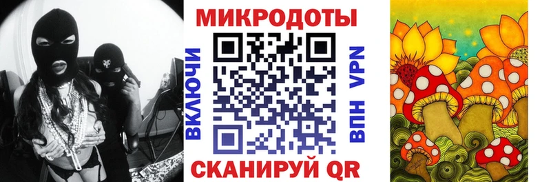 Псилоцибиновые грибы ЛСД  OMG сайт  Славгород  сколько стоит 