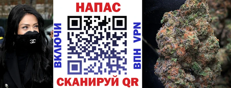 где найти наркотики  Славгород  мега зеркало  Канабис White Widow 